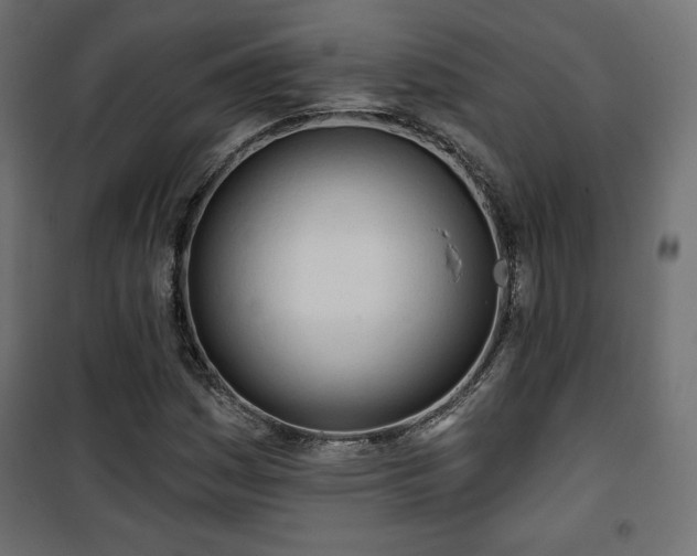 X0000101471161200807141344