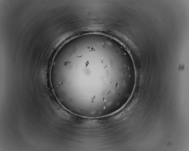 X0000101471162200807141344
