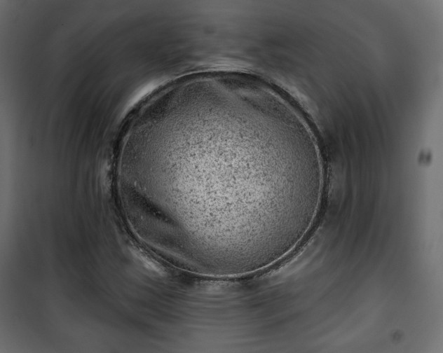 X0000101471163200807141344