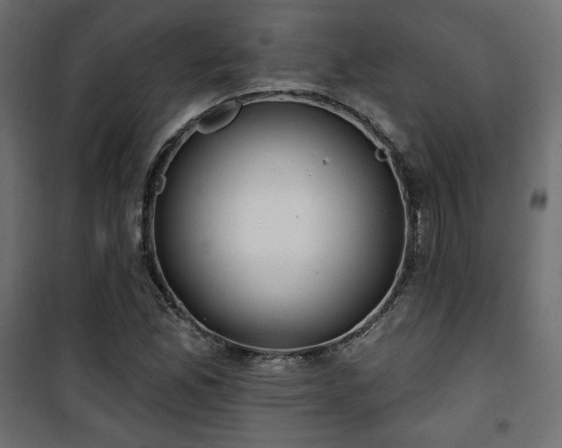 X0000101471165200807141344