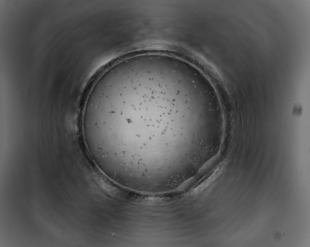 X0000101471166200807141344