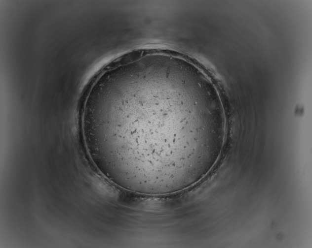 X0000101471167200807141344