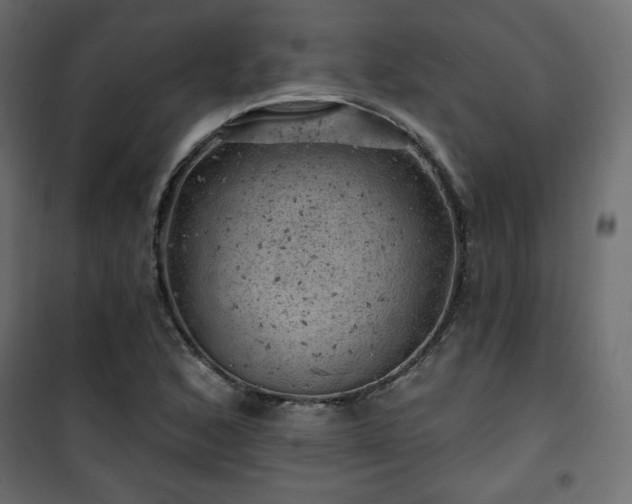 X0000101471168200807141344