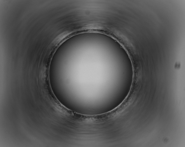 X0000101471169200807141344