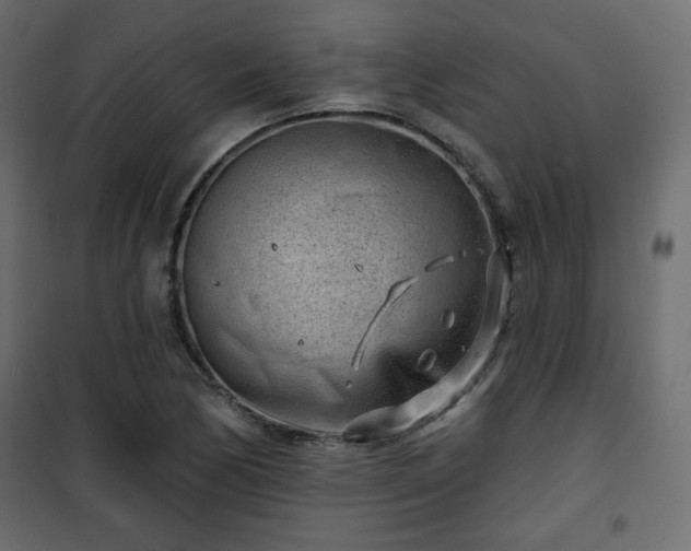 X0000101471170200807141344