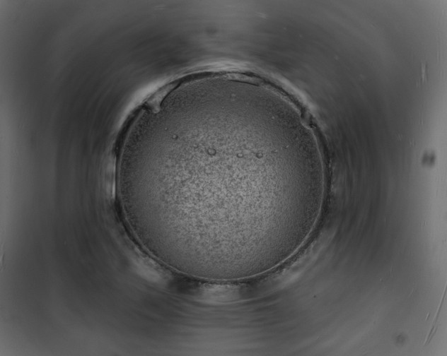 X0000101471171200807141344