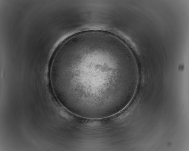 X0000101471174200807141344