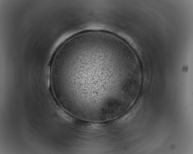 X0000101471175200807141344