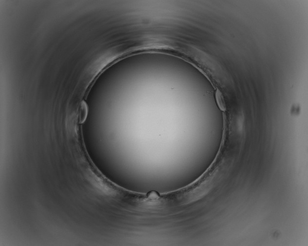 X0000101471177200807141344