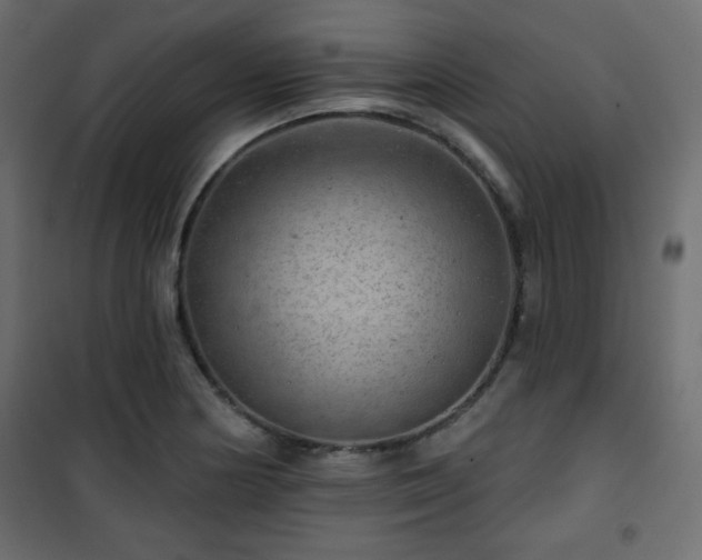 X0000101471178200807141344