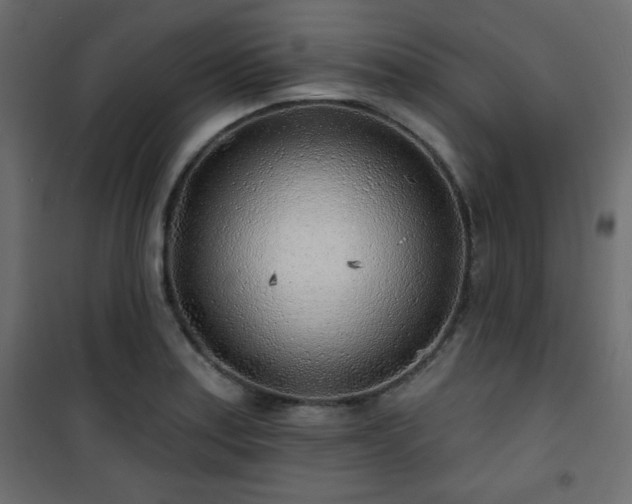 X0000101471179200807141344