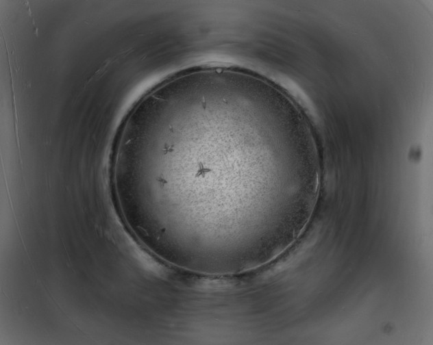 X0000101471183200807141344