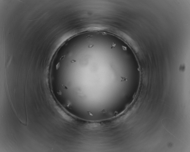 X0000101471186200807141344