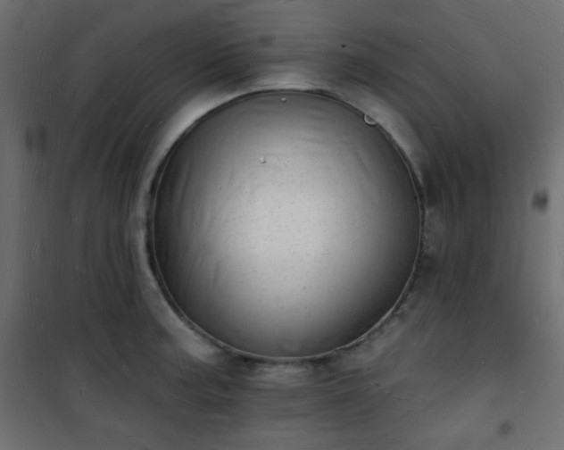 X0000101471187200807141344