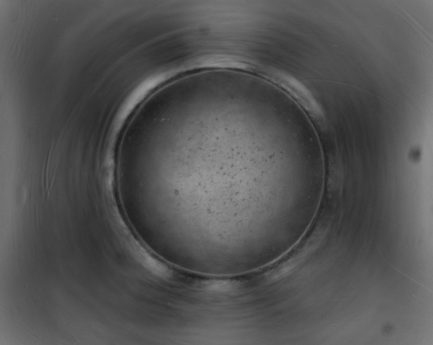 X0000101471188200807141344