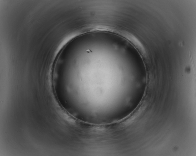 X0000101471190200807141344