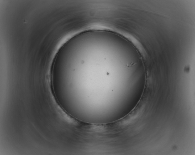 X0000101471191200807141344