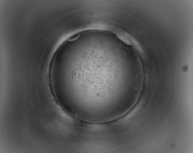 X0000101471192200807141344