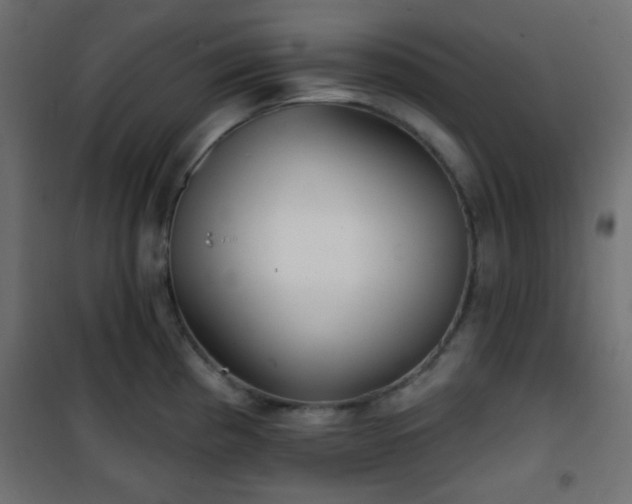 X0000101471193200807141344