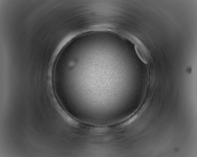 X0000101471196200807141343