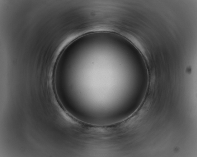 X0000101471197200807141343