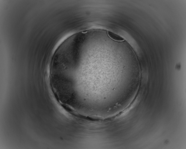 X0000101471198200807141343