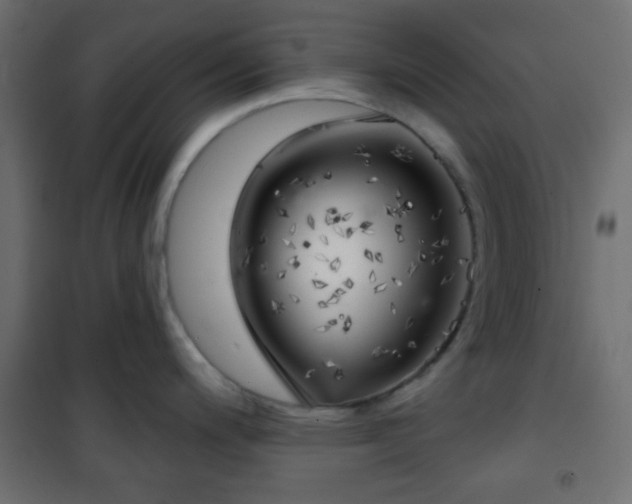 X0000101471200200807141343
