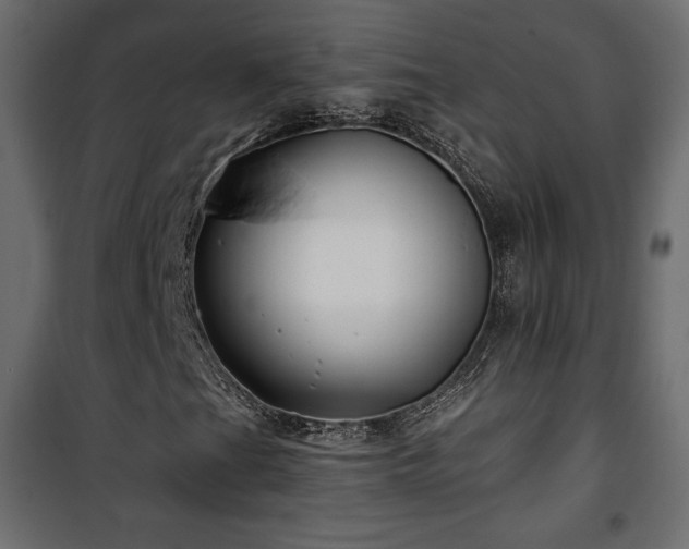 X0000101471201200807141343