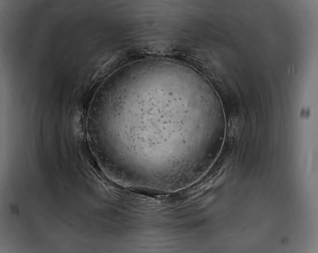 X0000101471202200807141343