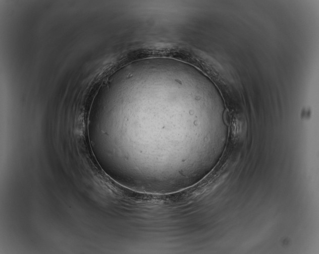 X0000101471204200807141343