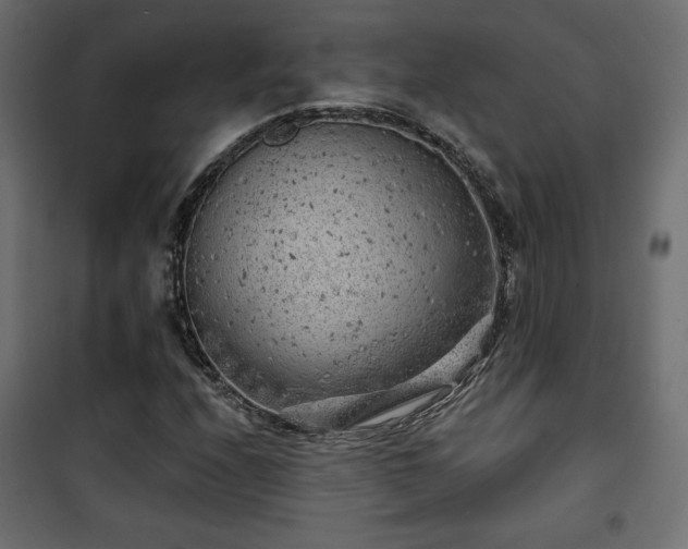 X0000101471208200807141343