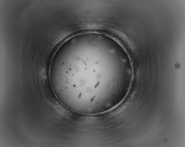 X0000101471209200807141343