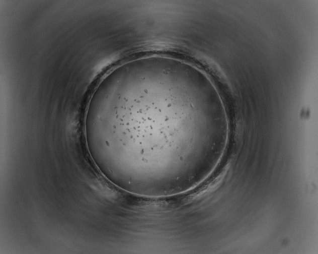 X0000101471210200807141343