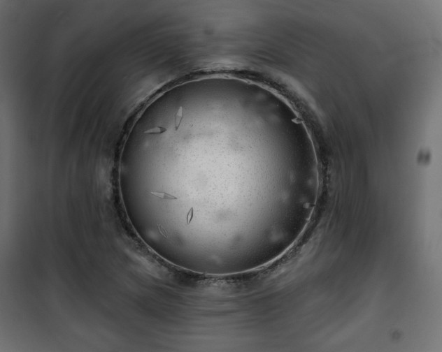 X0000101471217200807141343