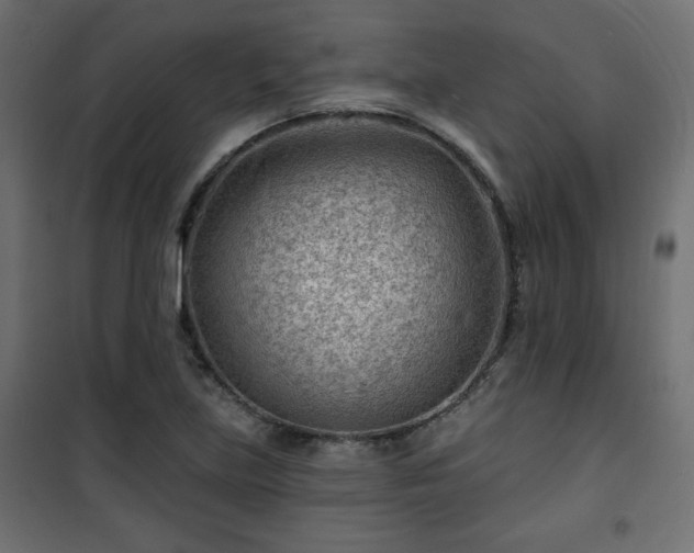 X0000101471219200807141343