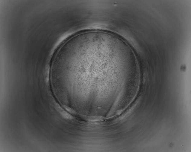 X0000101471224200807141343