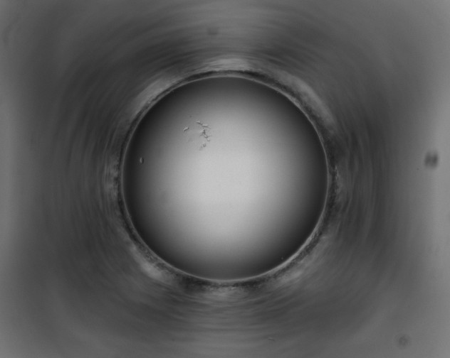 X0000101471225200807141343