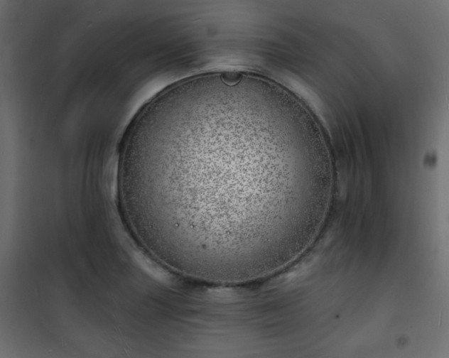 X0000101471227200807141343