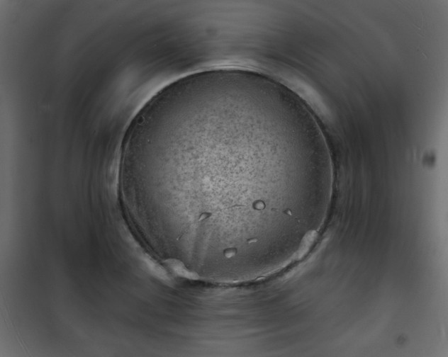 X0000101471228200807141343