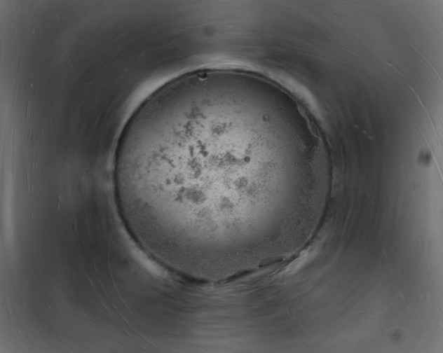 X0000101471231200807141343