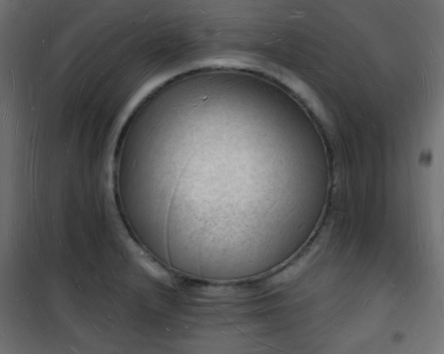 X0000101471232200807141343