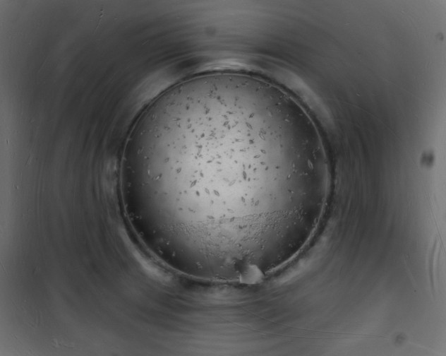 X0000101471233200807141343