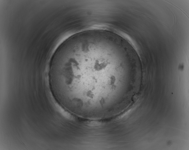 X0000101471235200807141343