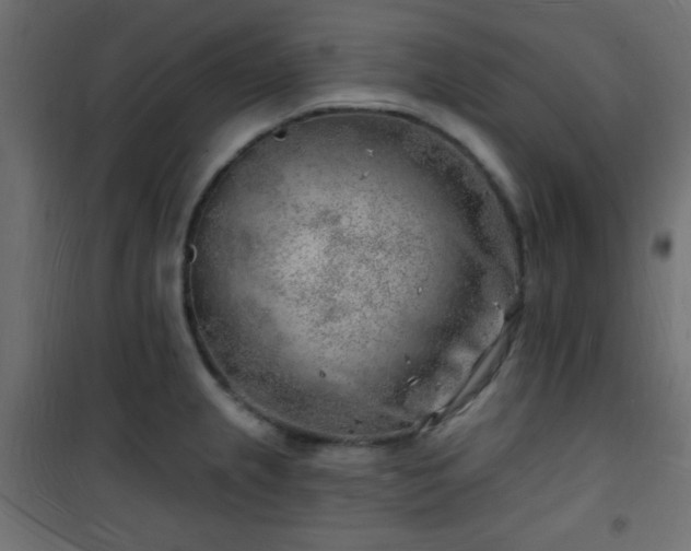 X0000101471237200807141343