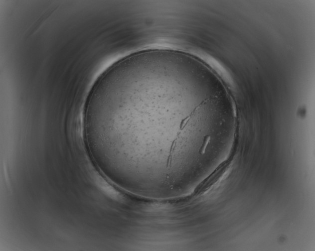 X0000101471238200807141343