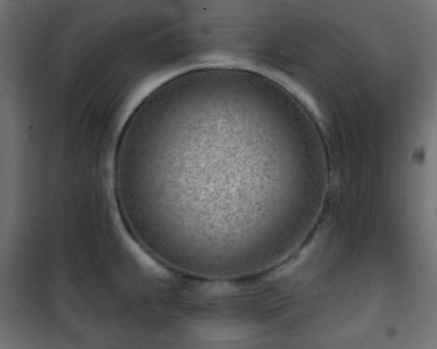 X0000101471239200807141343