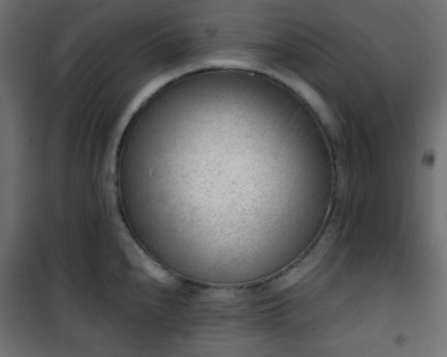 X0000101471240200807141343