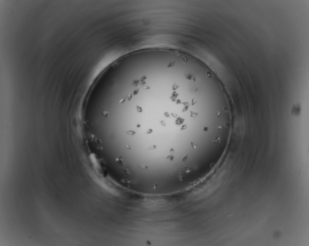 X0000101471242200807141343
