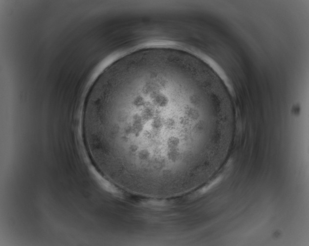 X0000101471245200807141343