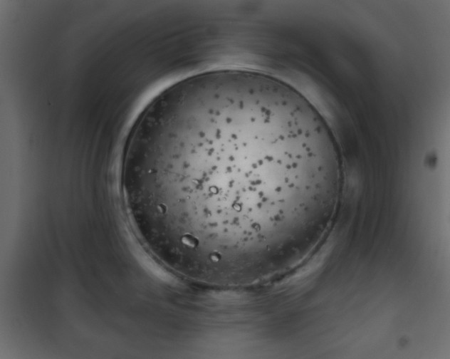 X0000101471246200807141343